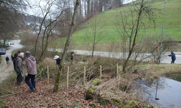 Erster Arbeitstag: Pflegearbeiten